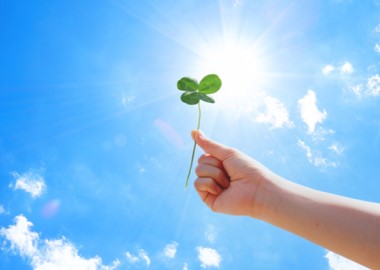 環境への取り組み